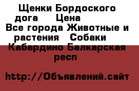 Щенки Бордоского дога.  › Цена ­ 30 000 - Все города Животные и растения » Собаки   . Кабардино-Балкарская респ.